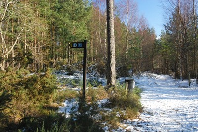 Walk photo