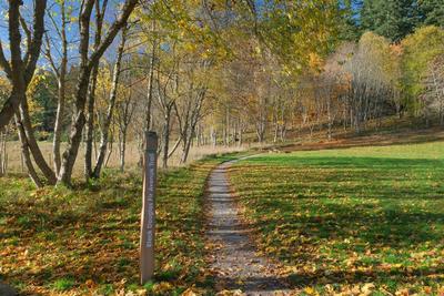 Walk photo
