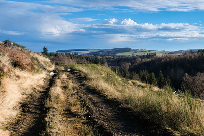 Walk photo
