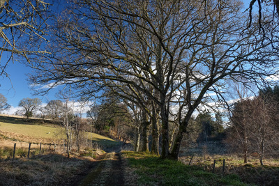 Walk photo