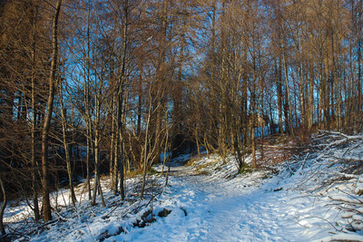 Walk photo