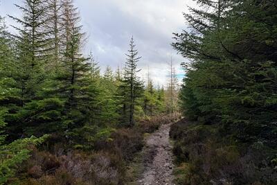 Walk photo