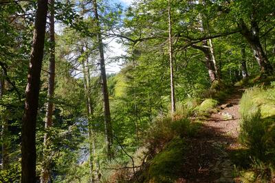 Walk photo