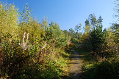 Walk photo