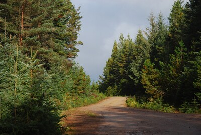 Walk photo