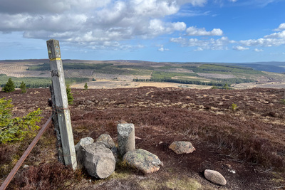 Walk photo