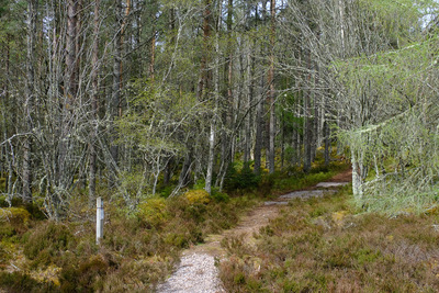 Walk photo