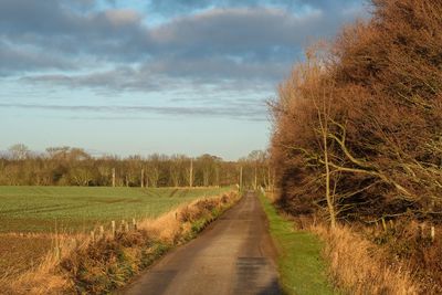 Walk photo