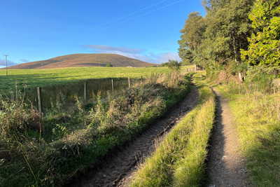 Walk photo