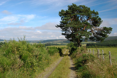 Walk photo