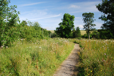 Walk photo