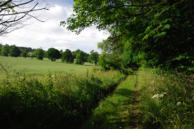 Walk photo