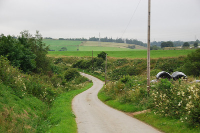 Walk photo