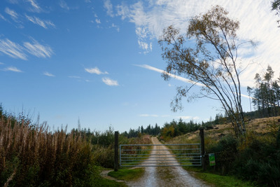 Walk photo