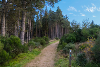 Walk photo