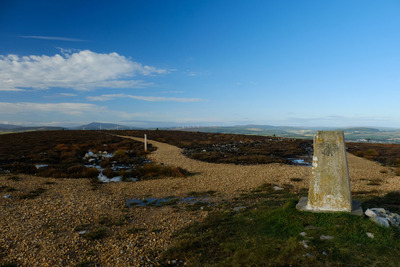 Walk photo