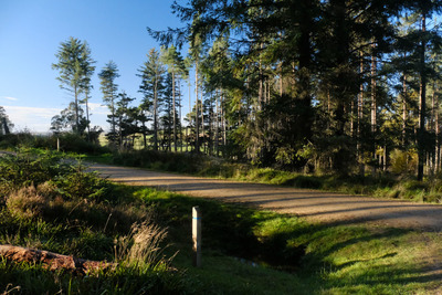 Walk photo