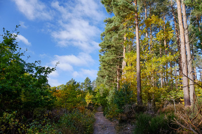 Walk photo