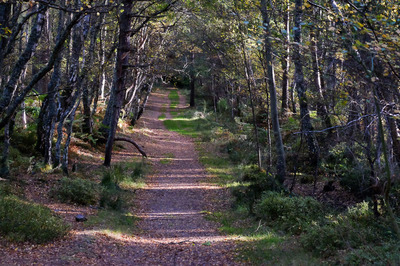 Walk photo