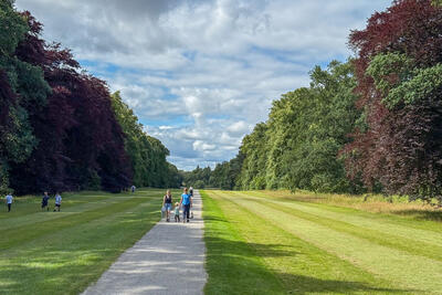 Walk photo