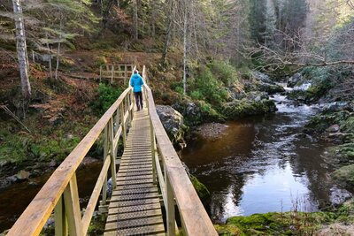 Walk photo