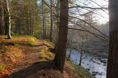 Walk photo