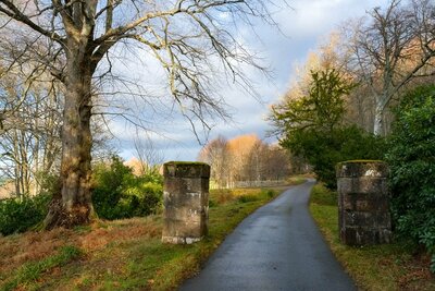 Walk photo