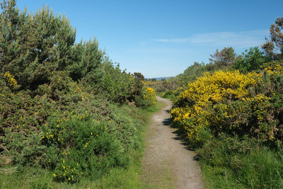 Walk photo