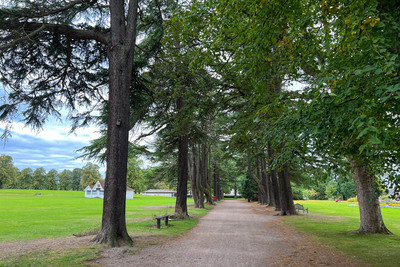 Walk photo