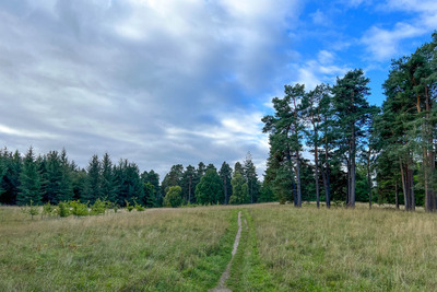 Walk photo