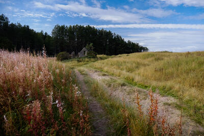 Walk photo