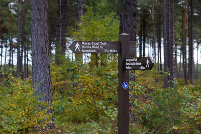 Walk photo