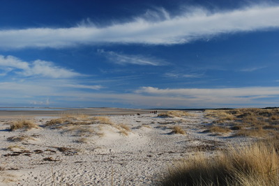 Nairn East Beach, Kingsteps and Culbin