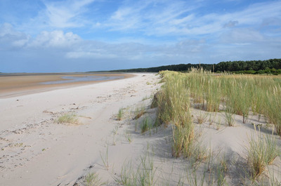 Walk photo
