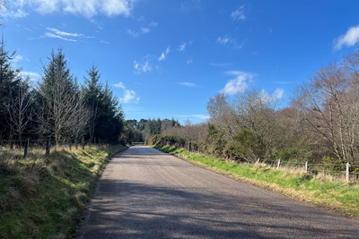 Walk photo