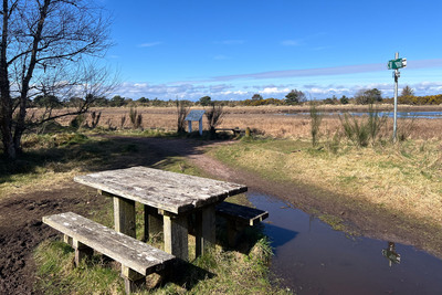 Walk photo