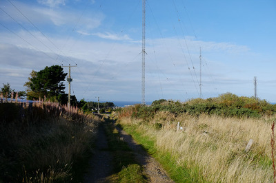Walk photo