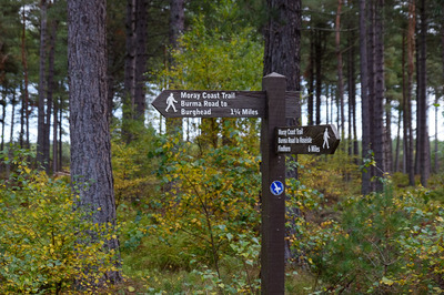 Walk photo