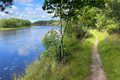 Walk photo