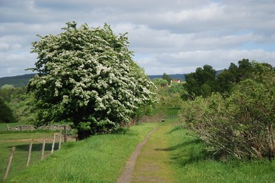 Walk photo