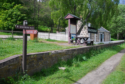 Walk photo