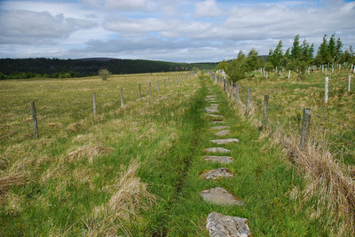Walk photo