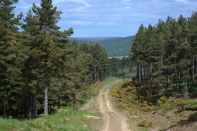 Walk photo