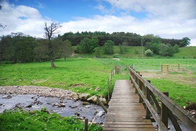 Walk photo