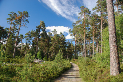 Walk photo