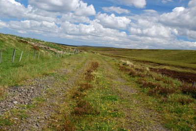 Walk photo