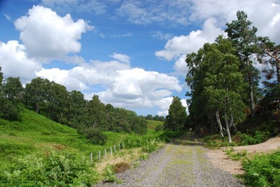 Walk photo