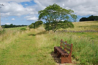 Walk photo