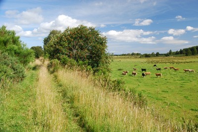 Walk photo