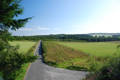 Walk photo